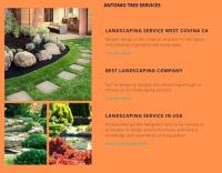 antonio -Residential Tree Service Arcadia CA image 2